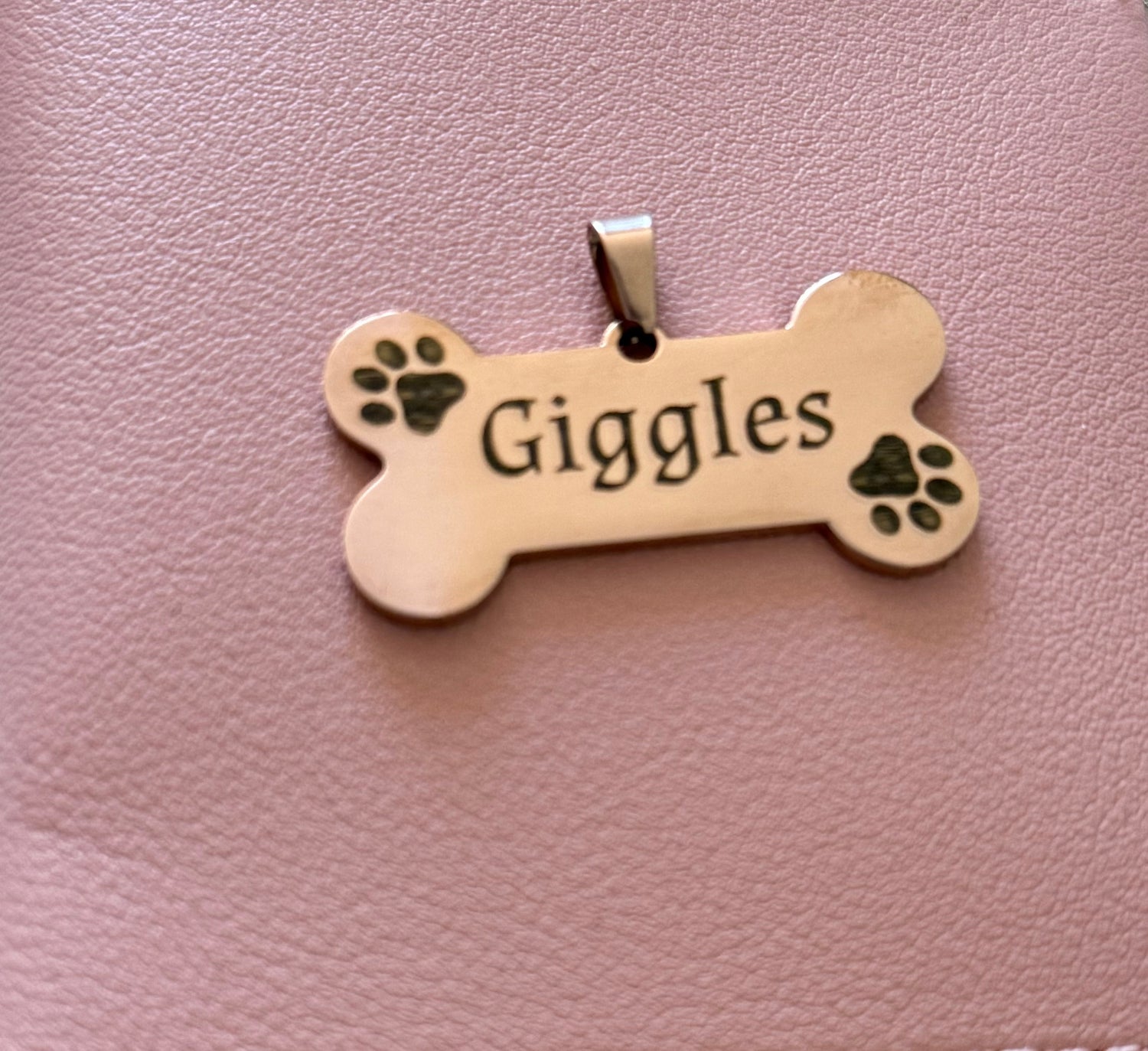 Pet Accessories