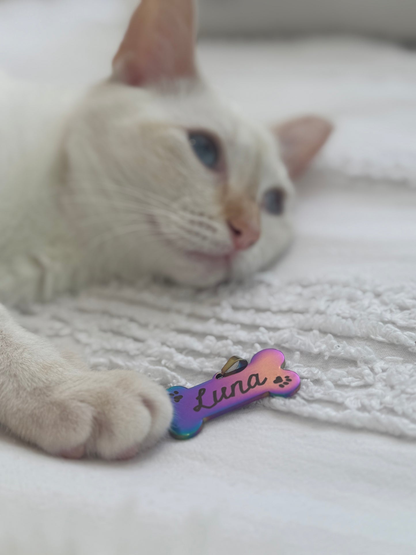 Mixed colour stainless steel pet tags engraved with your pet name +/- phone number